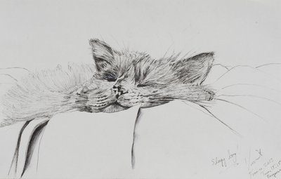Monty sleepy boy by Vincent Alexander Booth